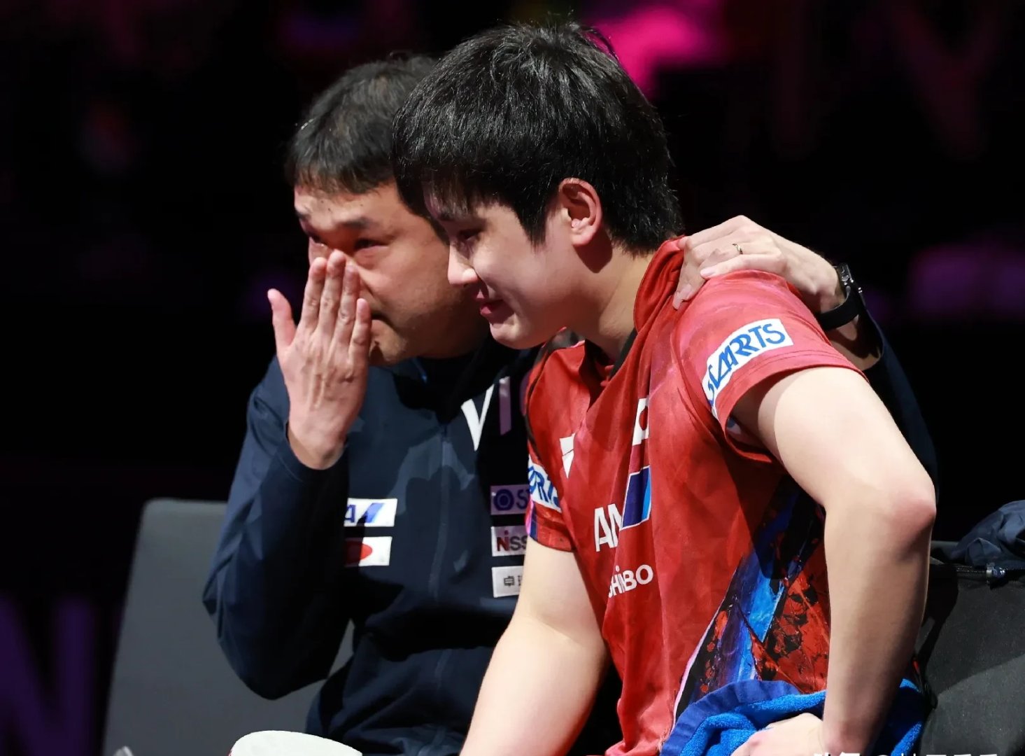 瑞典队翻盘波兰队,张本智和点燃赛场 瑞典队翻盘波兰队,张本智和点燃赛场