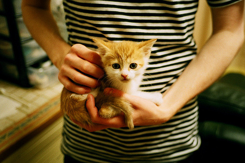 暗夜与闪电，基耶萨的欧冠封神之战