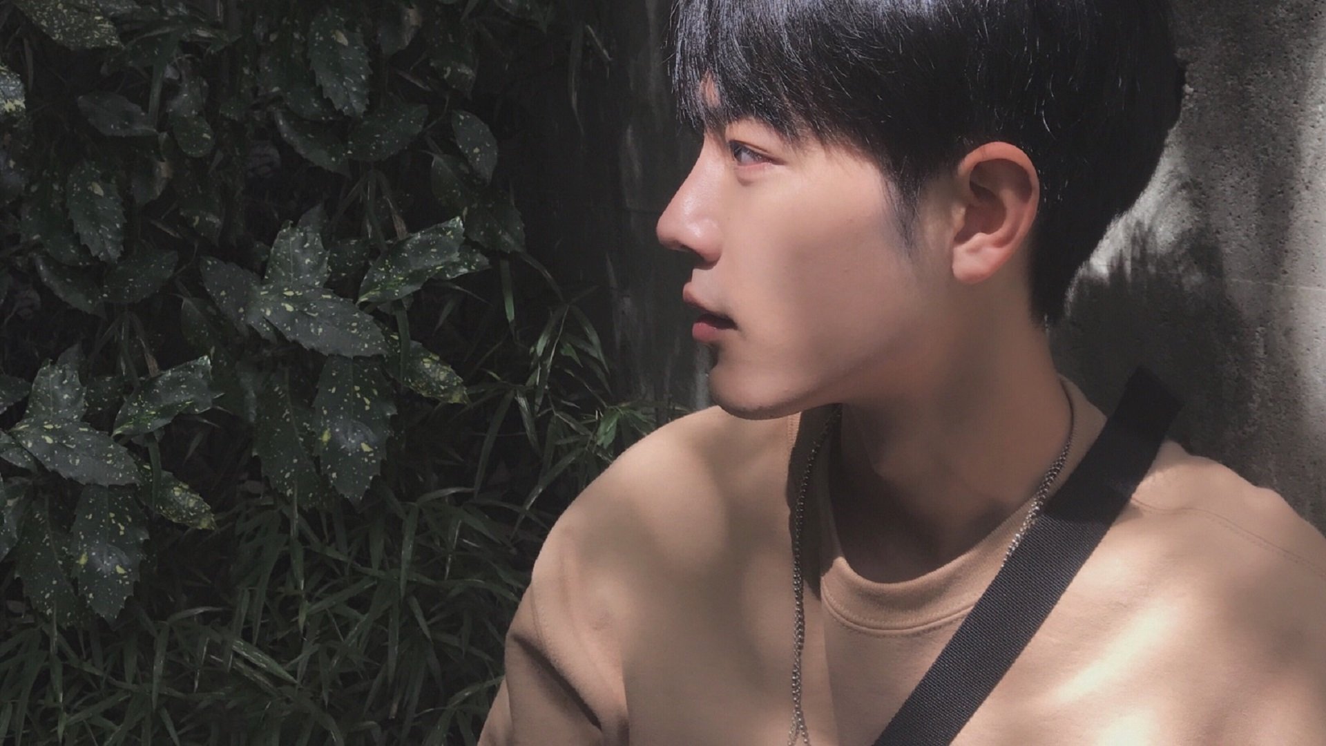 开云体育登录-篮球与绿茵场的双重奏，当欧冠淘汰赛点燃尼克斯步行者之战