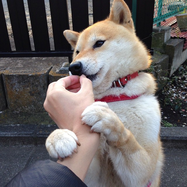 唯一性的体育瞬间，意甲焦点战与独行侠的单节爆发