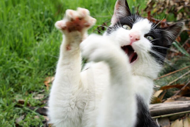 冰冷刺锋，灼热闪电，篮球哲学的双面映照