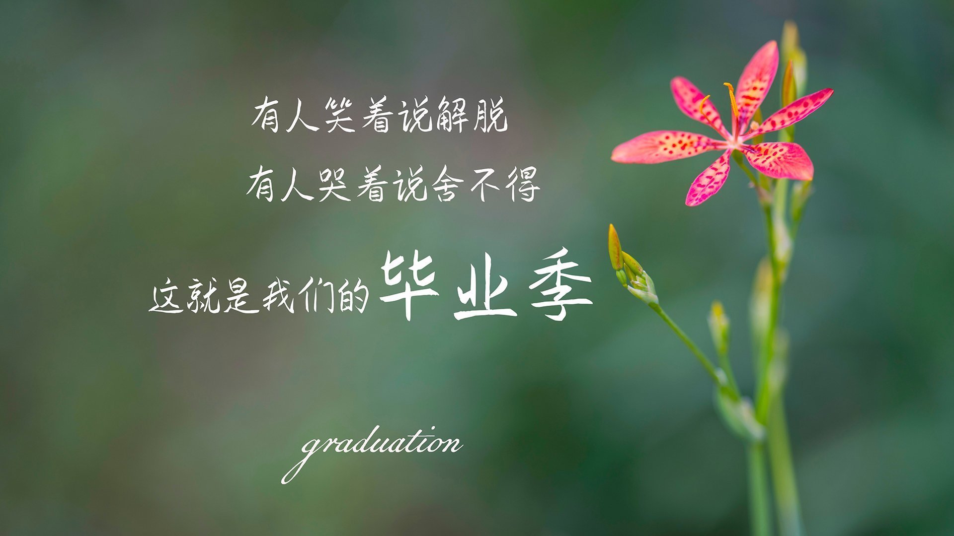 摩纳哥，当赛道在黑暗中叹息