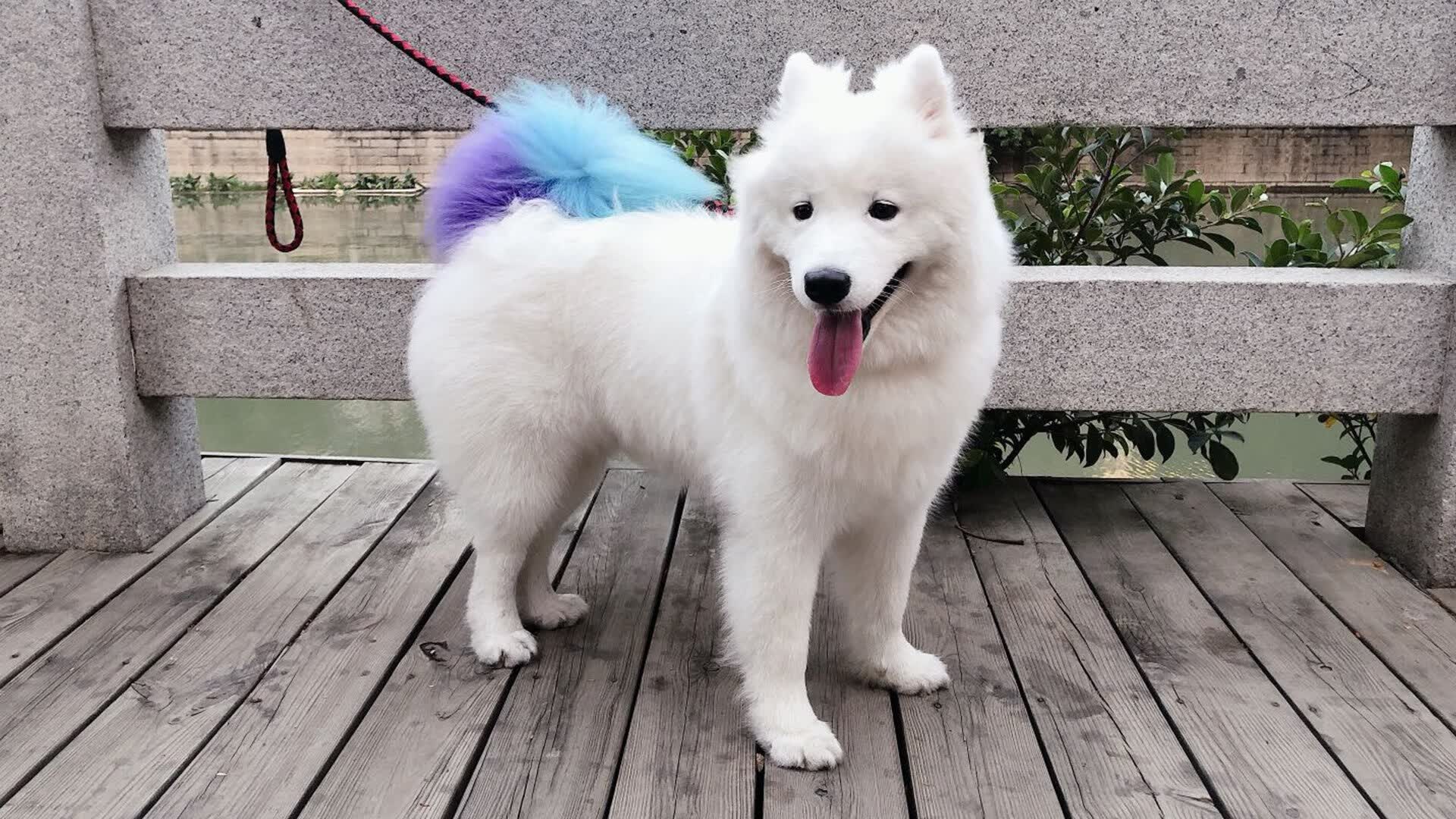 王者归来，争冠夜的孤勇与救赎