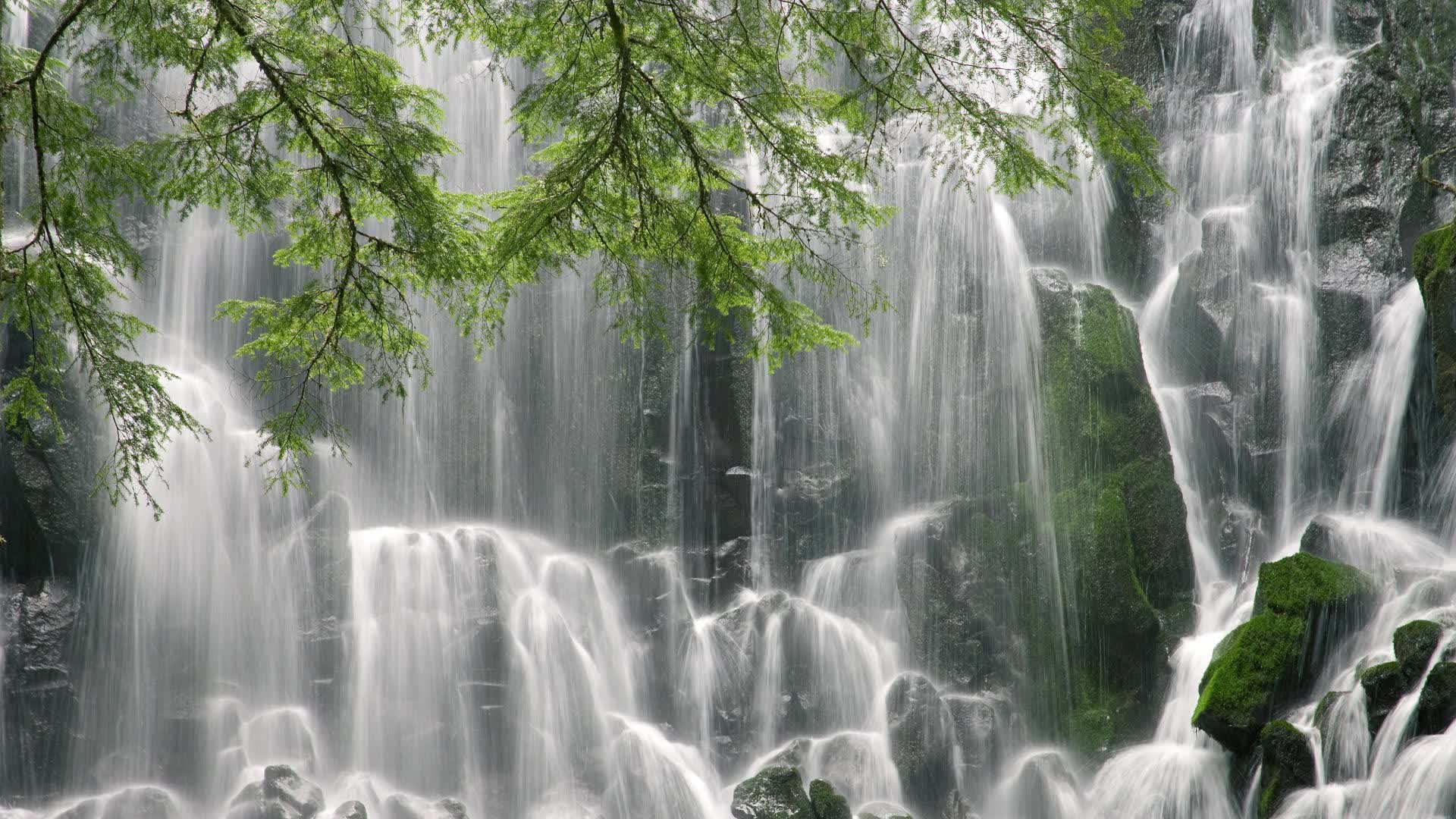 暗夜刀锋，当澳洲袋熊以节奏为食，久保建英的致命一击如何定义C组唯一变量